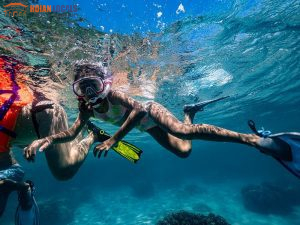 Cham Island Snorkeling Tour-Hoi An Locals