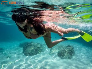 Cham Island Snorkeling Tour Full Day-Hoi An Locals