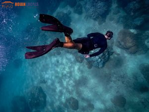 Cham Island Snorkeling Tour 1 Day-Hoi An Locals