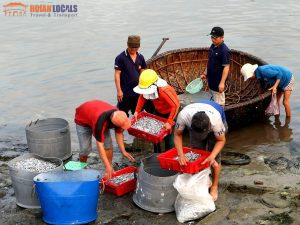 Hoi An Sunrise Fish Market Tour-Hoi An Locals