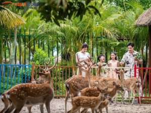 Hoi An To Vinpearl Land By Private Car-Hoi An Locals