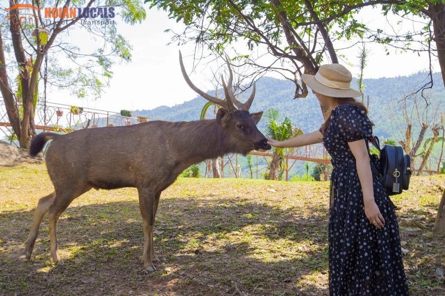 Danang Entrance Fee 2024-Hoian Locals Travel