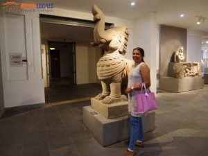 Tien Sa Port To Danang By Car-Hoian Locals Travel