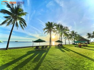 Da Nang Airport To Palm Garden Resort Hoi An-Hoian Locals Travel