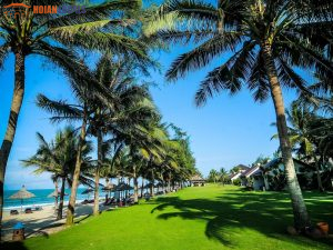 Private Car Da Nang Airport To Palm Garden Resort-Hoian Locals Travel