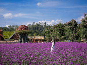 Private Car Hoi An To Dalat-Hoian Locals Travel