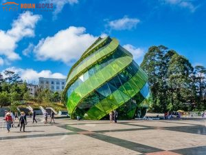 Hoi An To Dalat By Car-Hoian Locals Travel