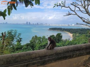Sunset On Monkey Mountain Tour-Hoian Locals Travel
