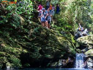 Danang To Bach Ma National Park Private Car Hoian Locals