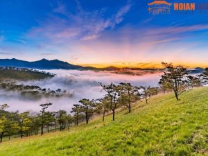 Da Nang To Dalat Private Car - Hoi An Locals