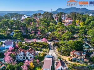 Da Nang To Dalat Private Car - Hoi An Locals