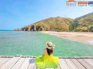 Da Nang to Quy Nhon Private Car - Hoi An Locals