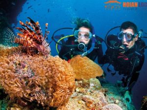 Da Nang to Quy Nhon Private Car - Hoi An Locals