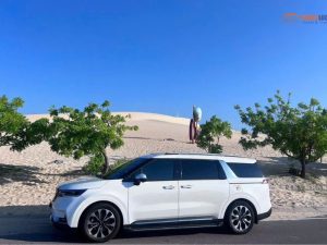 Da Nang To Mui Ne Private Car - Hoi An Locals