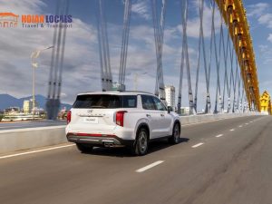 Da Nang To Quang Ngai Private Car - Hoi An Locals