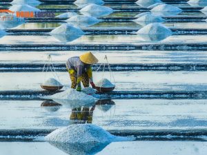 Da Nang To Quang Ngai By Car - Hoi An Locals