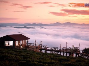 Hoi An To Dalat Luxury Car Transfer - Hoi An Locals