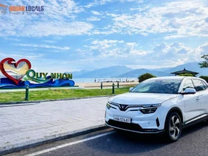 Hue To Quy Nhon Private Car - Hoi An Locals