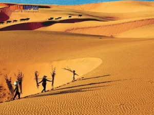 Private car Hue to Mui Ne - Hoi An Locals