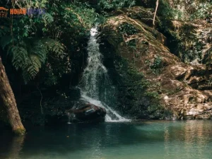 Hue To Bach Ma National Park By Car Transfer - Hoi An Locals