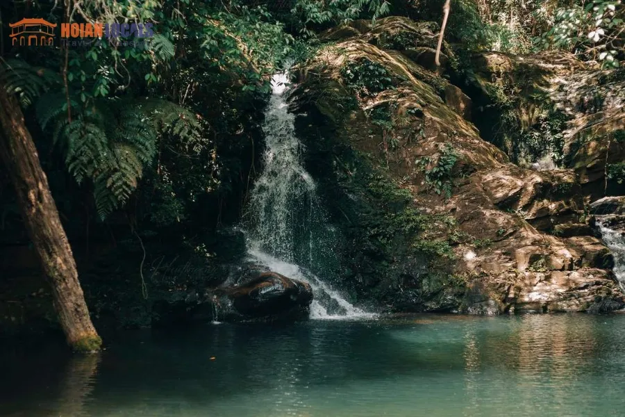Hue To Bach Ma National Park By Car Transfer - Hoi An Locals