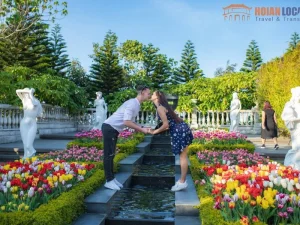 Laguna Lang Co To Da Nang By Private Car - Hoi An Locals
