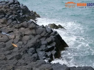 Hoi An To Phu Yen Private Luxury Car - Hoi An Locals