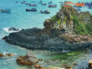 Hoi An To Phu Yen Private Limousine - Hoi An Locals