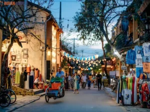 Da Nang To Hoi An Private Car - Hoi An Locals
