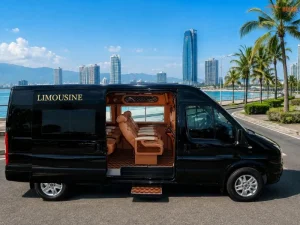 Da Nang To My Son Sanctuary Limousine - Hoi An Locals