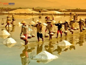 Private car from Hoi An to Quang Ngai - Hoi An Locals